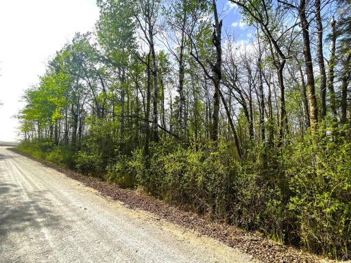 South Side of Property down Private Road