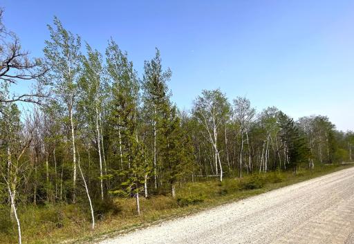 West Side of Property
