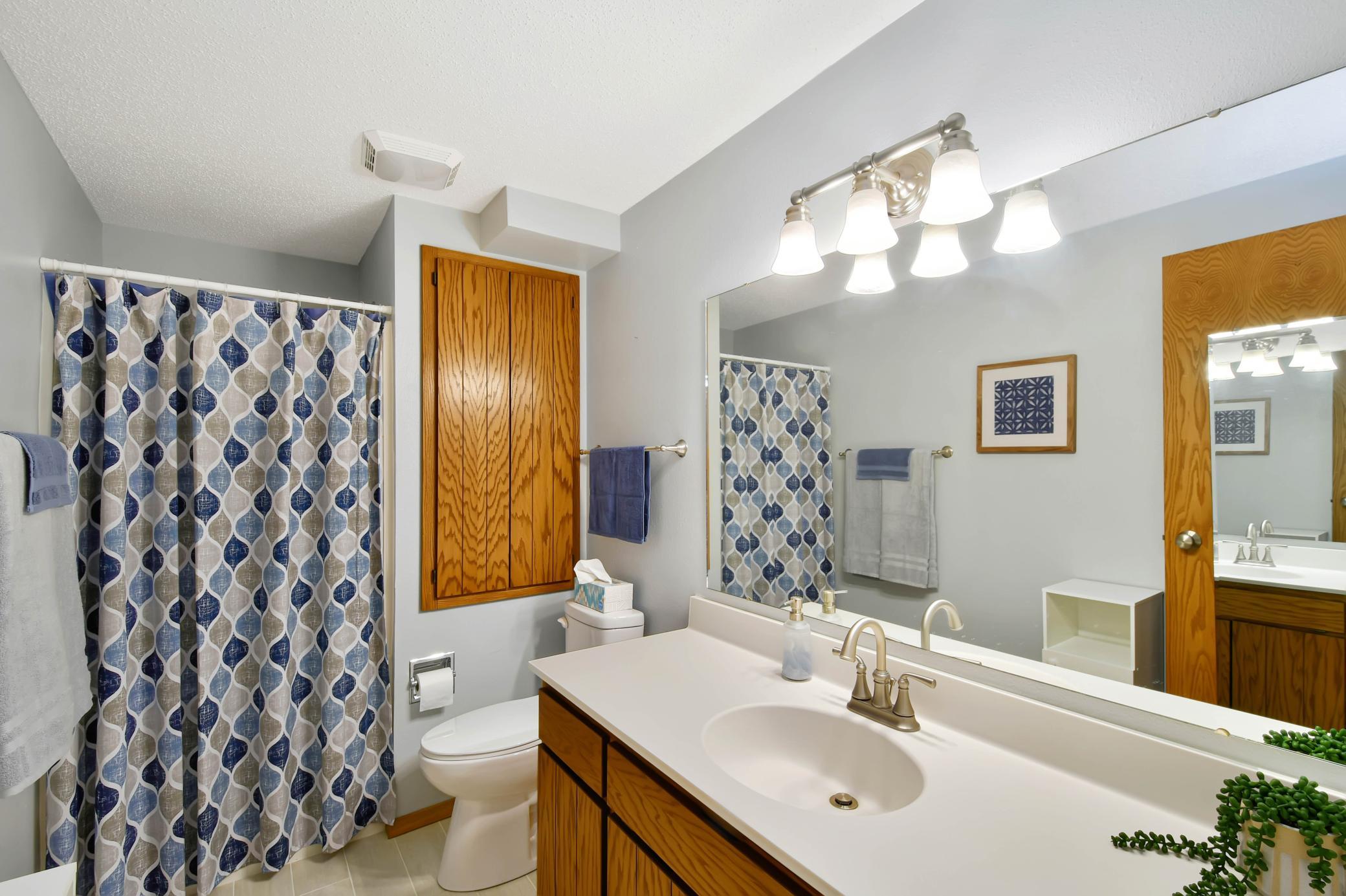 Bathroom(basement)