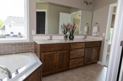 1364 Ridge Lane, Shakopee, MN 55379