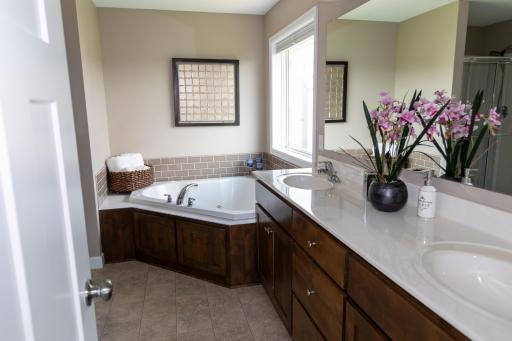 1364 Ridge Lane, Shakopee, MN 55379