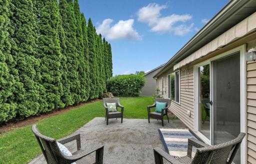 Back yard