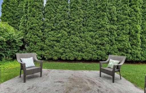 Back yard