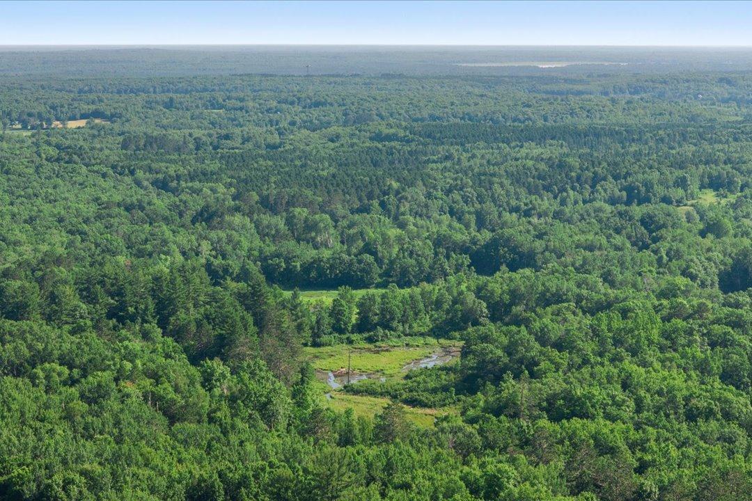 06-DJI_20260709032121_0391_D.jpg