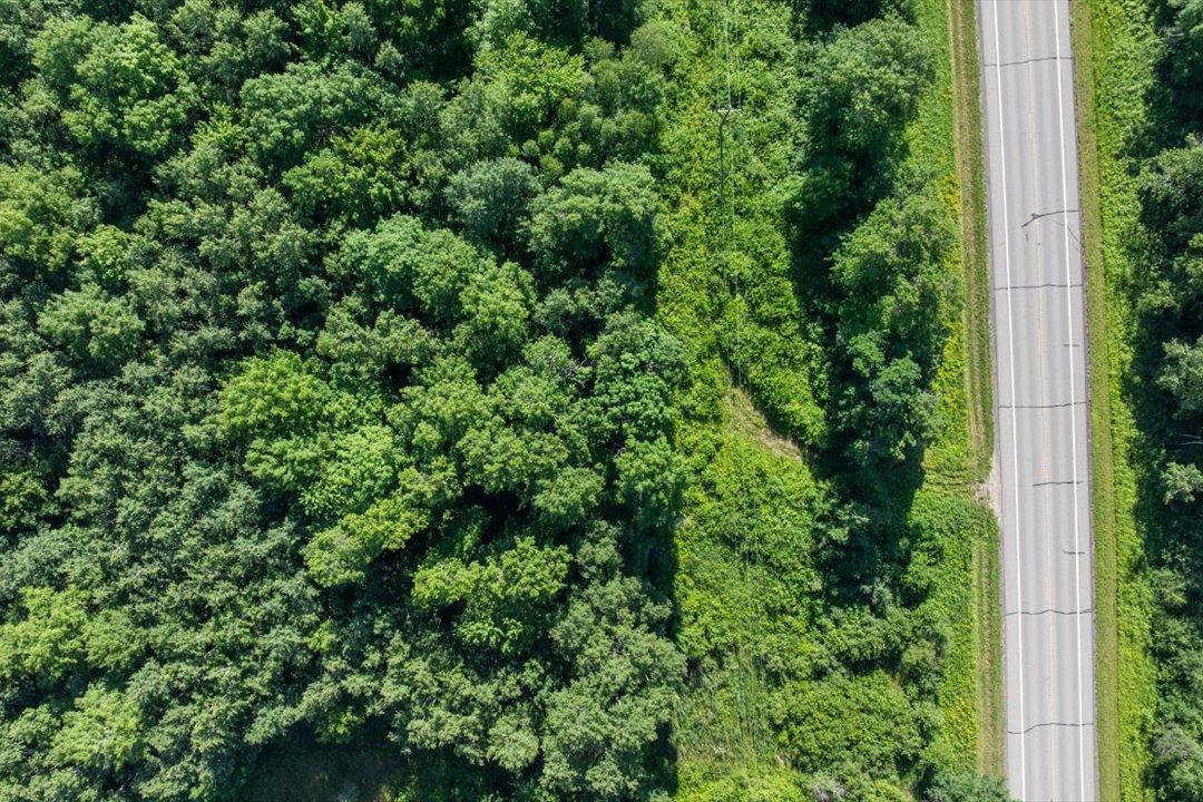 08-DJI_20260709032154_0397_D.jpg