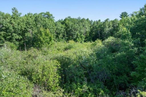 TBD County Road 39 NE, Longville, MN 56655