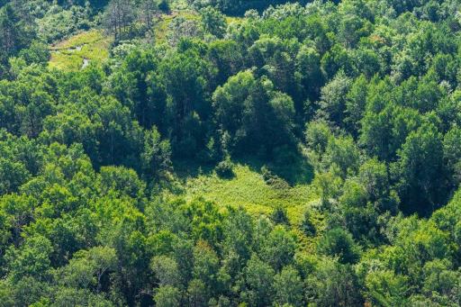 TBD County Road 39 NE, Longville, MN 56655