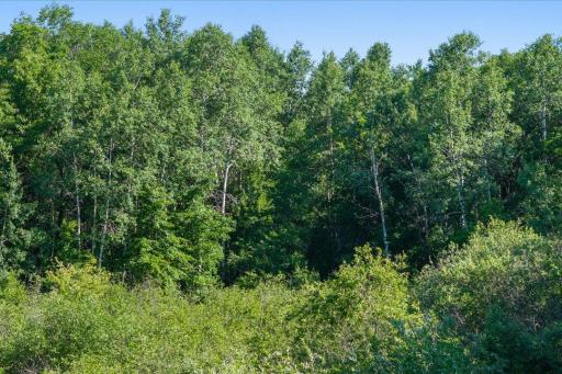 TBD County Road 39 NE, Longville, MN 56655