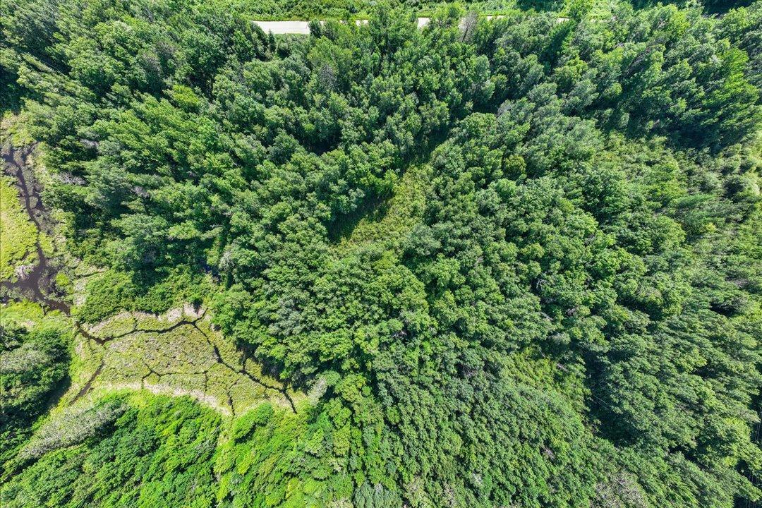 20-DJI_20260709032950_0423_D.jpg