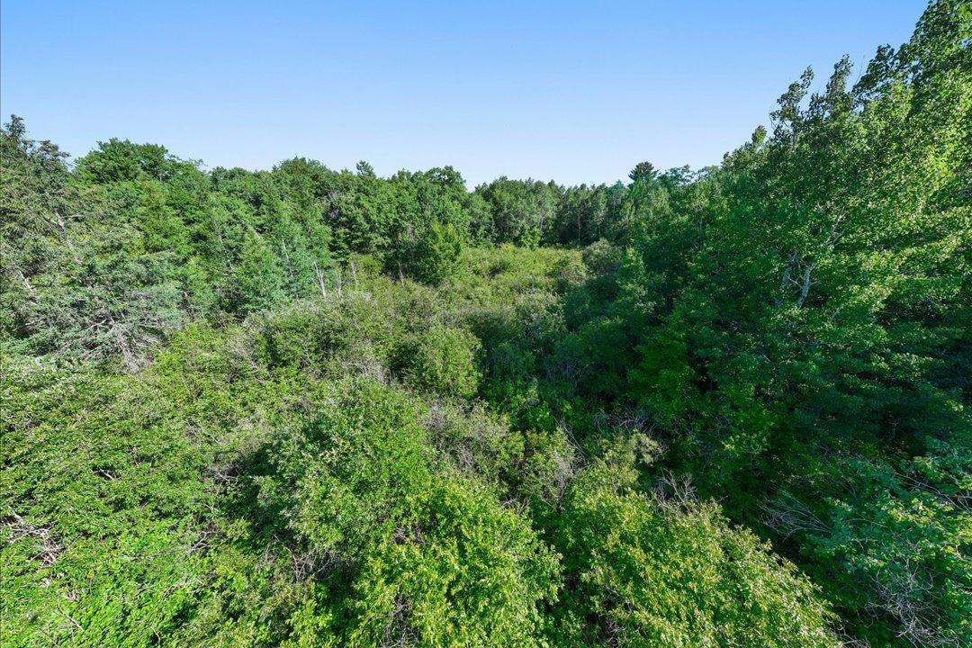 22-DJI_20260709033134_0425_D.jpg