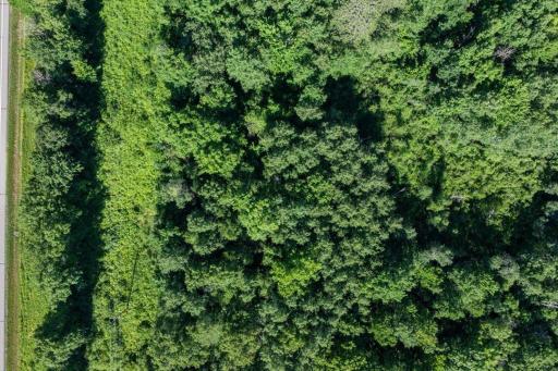 TBD County Road 39 NE, Longville, MN 56655