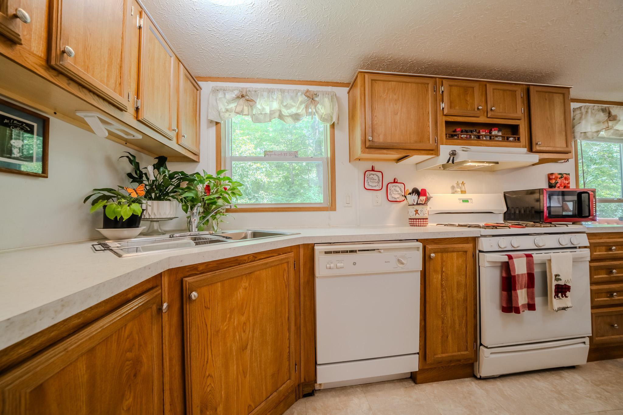 Kitchen sink window