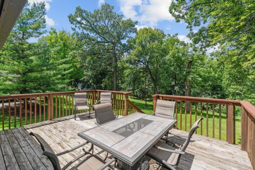 215 Union Terrace Lane N, Minneapolis, MN 55441