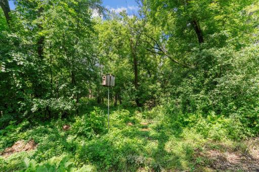 215 Union Terrace Lane N, Minneapolis, MN 55441