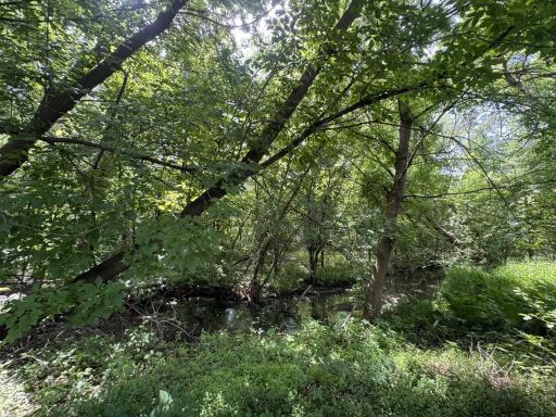 Backyard view overlooking creek/Pamela Park