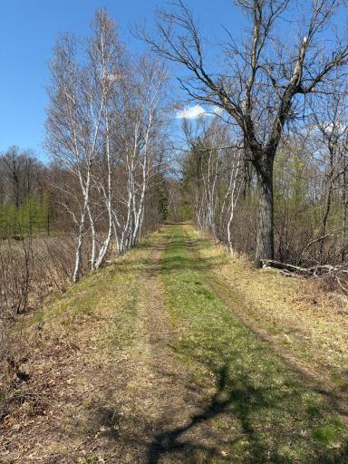TBD CC Mann Road, Spooner, WI 54801