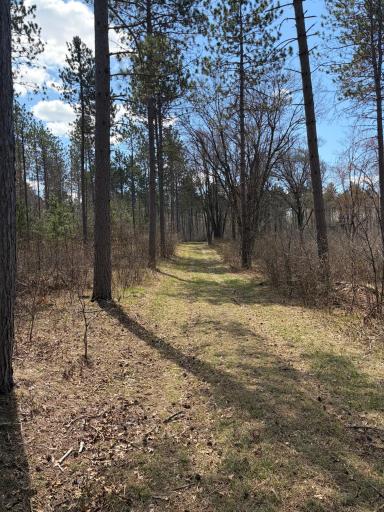 TBD CC Mann Road, Spooner, WI 54801