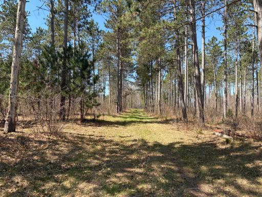 TBD CC Mann Road, Spooner, WI 54801