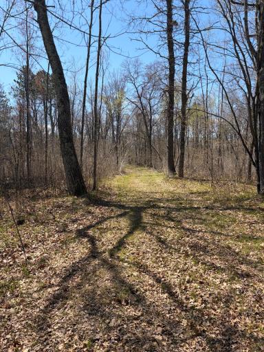 TBD CC Mann Road, Spooner, WI 54801