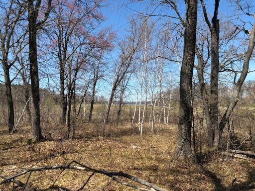 TBD CC Mann Road, Spooner, WI 54801