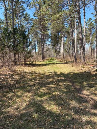 TBD CC Mann Road, Spooner, WI 54801