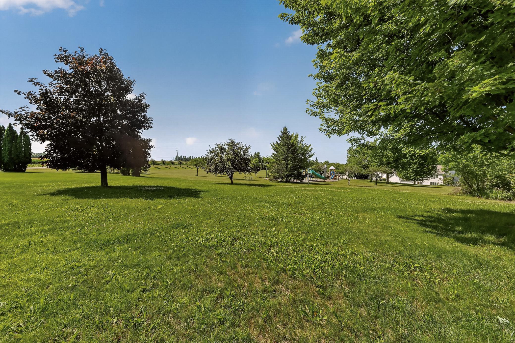 Backyard view 2.jpg