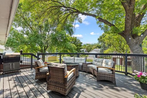 409 N Monroe Street, Minneota, MN 56264