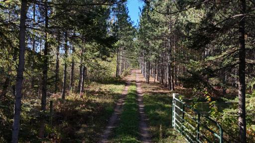 TBD AA Mann Road, Spooner, WI 54801