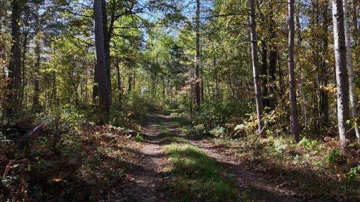 TBD AA Mann Road, Spooner, WI 54801