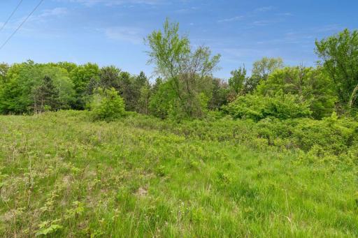 10 Sunny Side Ln, Sunfish Lake, MN 55118