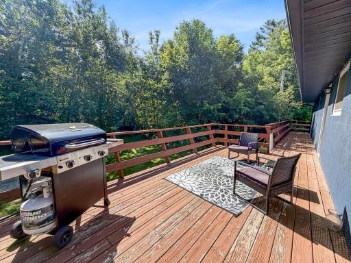 34342 Short Road, Bagley, MN 56621