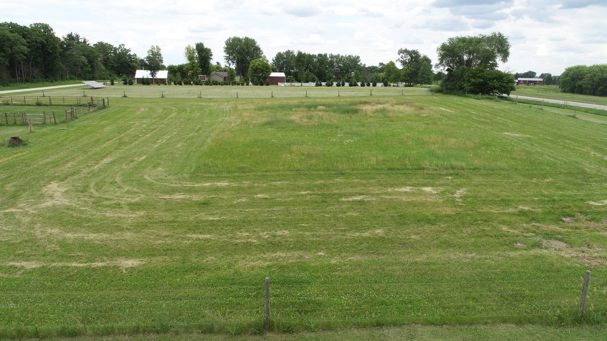 DJI_0233.JPG