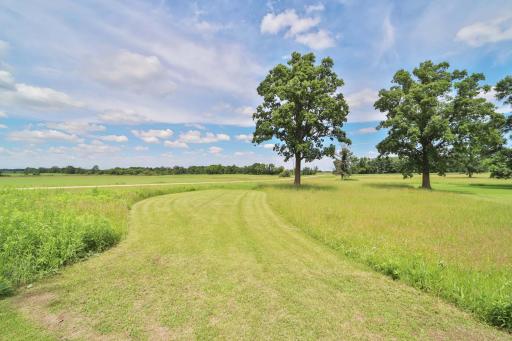 34564 141st Avenue, Eagle Bend, MN 56446