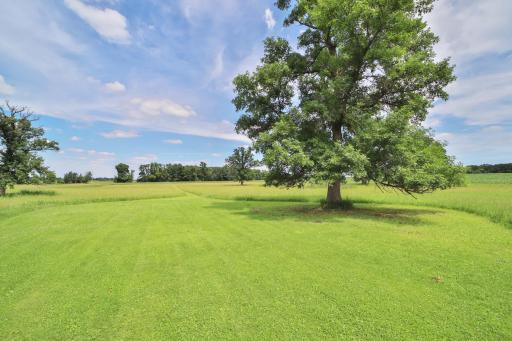 34564 141st Avenue, Eagle Bend, MN 56446