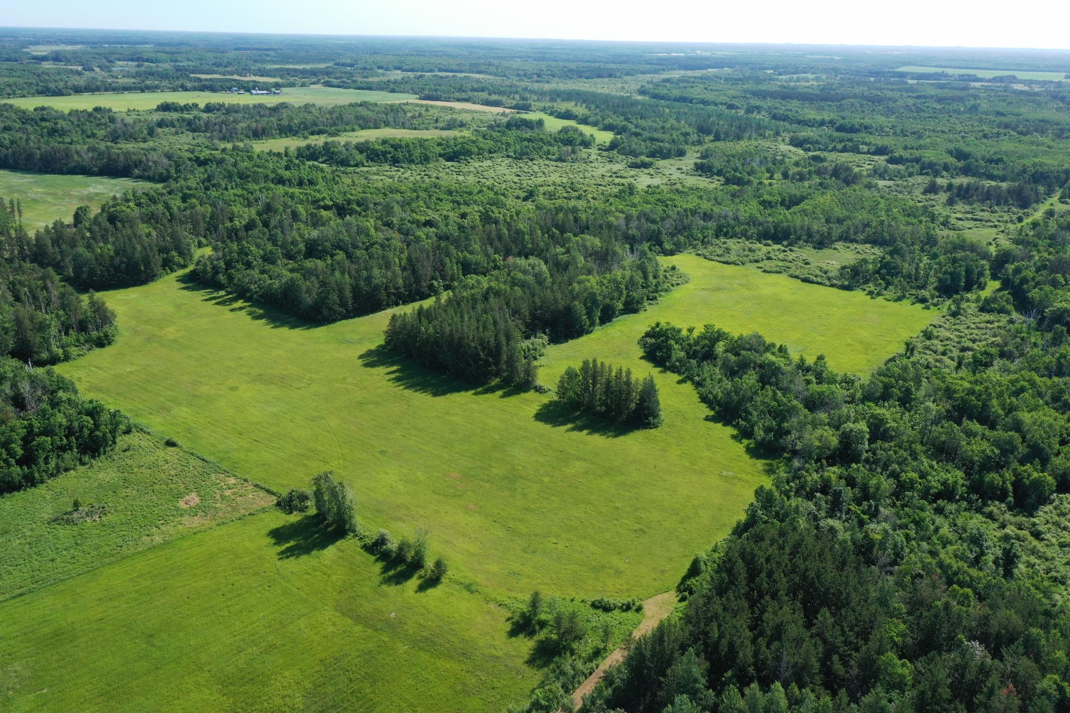 DJI_0807.JPG