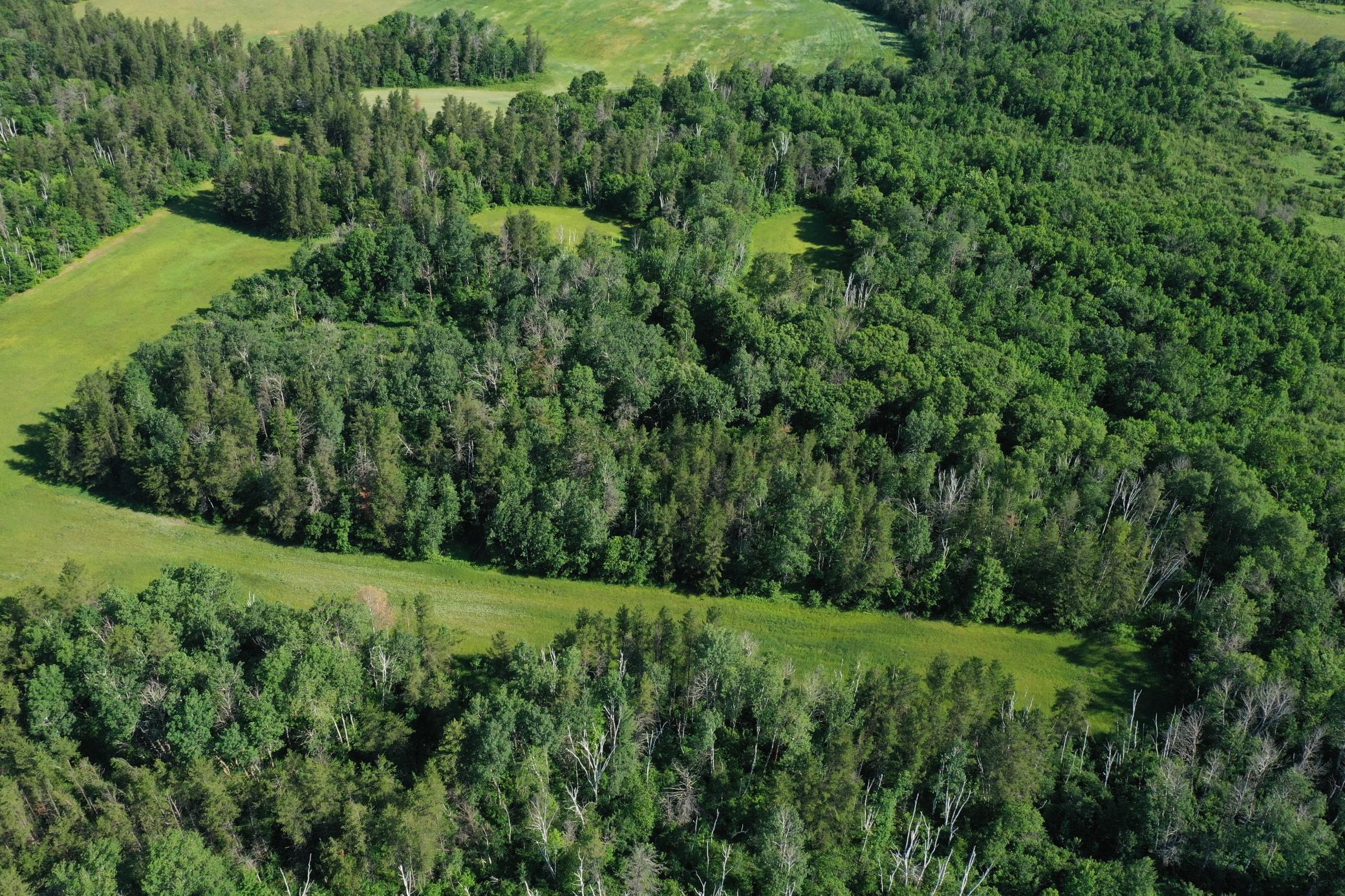 DJI_0811.JPG