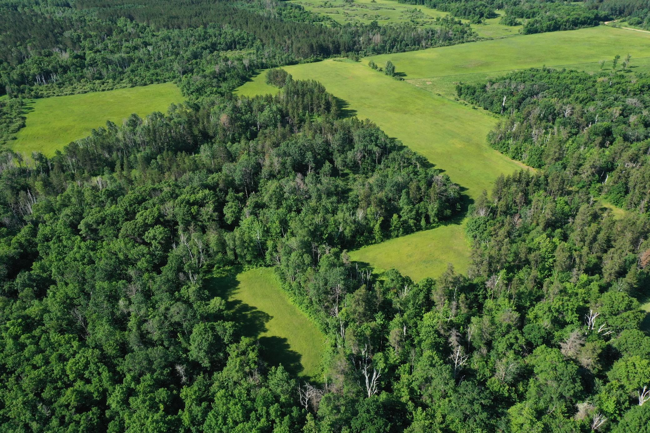 DJI_0813.JPG