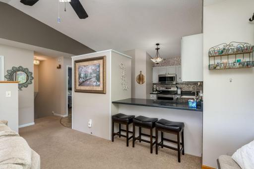 6105 Shamrock Drive, Madison Lake, MN 56063