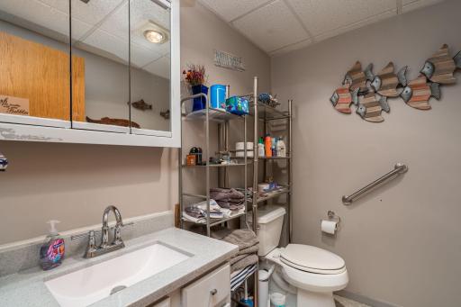 6105 Shamrock Drive, Madison Lake, MN 56063