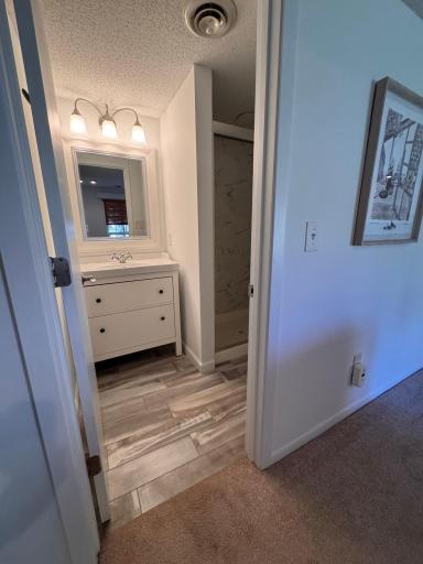 Lower Level bathroom with walk-in shower