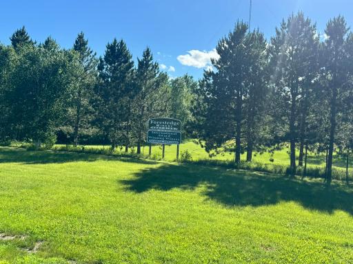 Laporte, MN 56461
