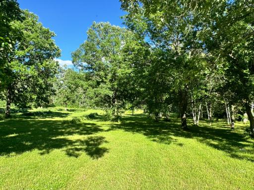 Laporte, MN 56461