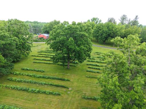 dji_fly_20260625_092624_0607_1782397802972_photo.jpg