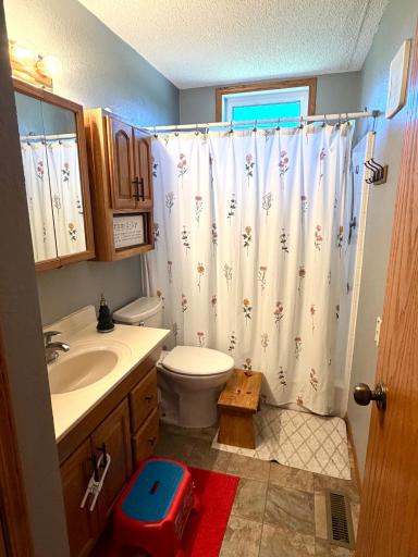 19551 197th Avenue, Greenbush, MN 56726