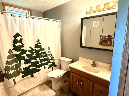 19551 197th Avenue, Greenbush, MN 56726