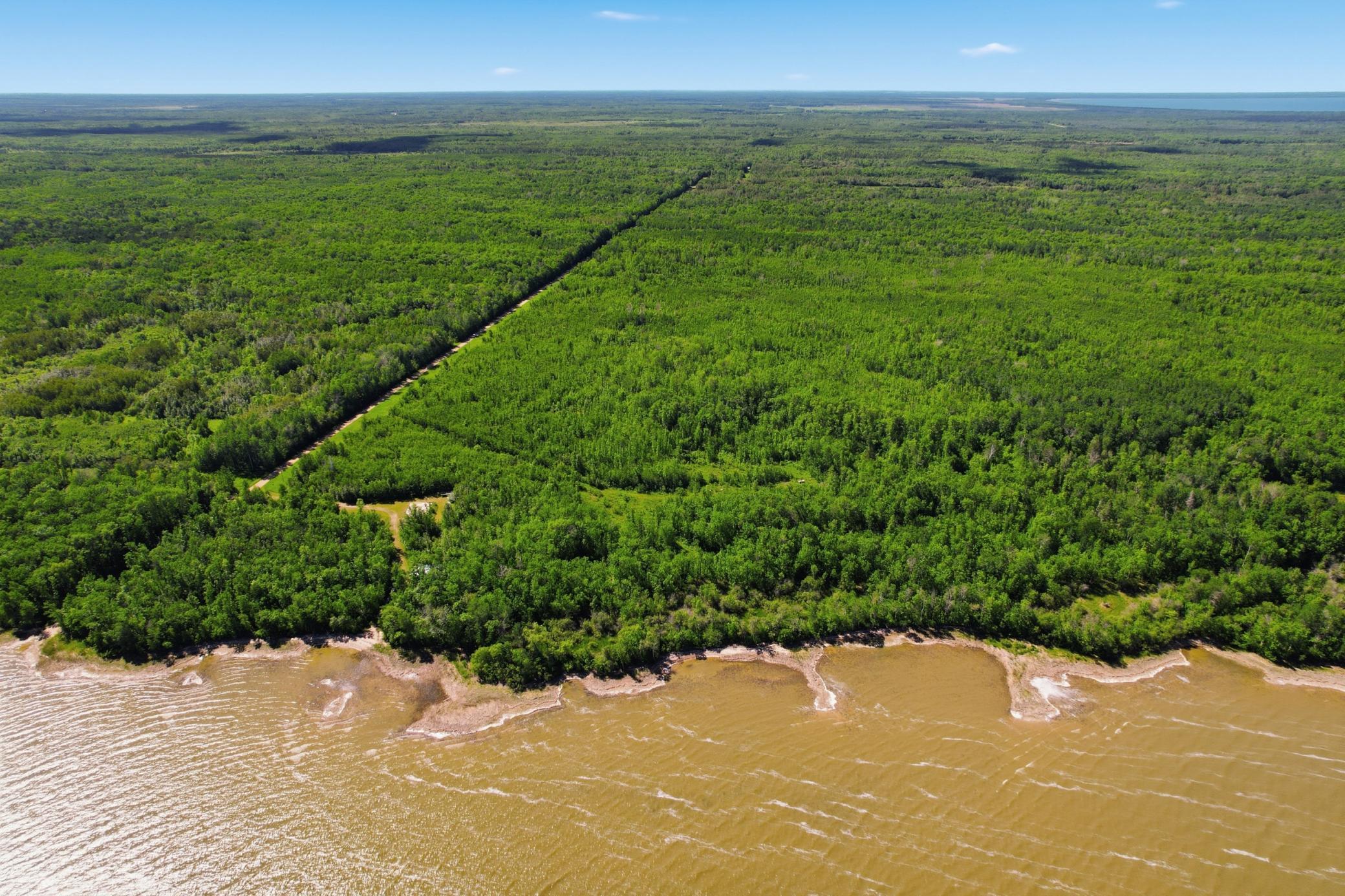 dji_0871.jpg