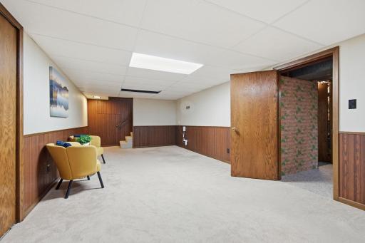 Lower Level Family Room/Flex Space