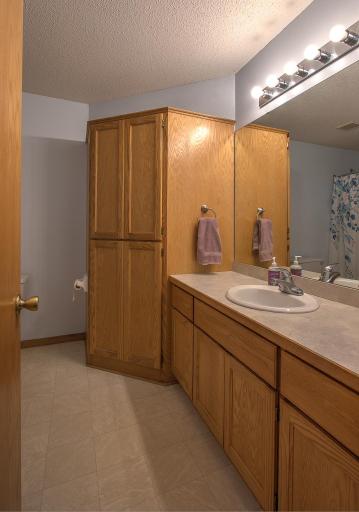 1016 Honeysuckle Lane SE, Cambridge, MN 55008