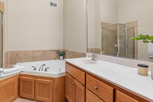 Spa-inspired owner's bath with generous storage.