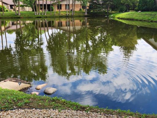 Many ponds & walking paths in the neighborhood